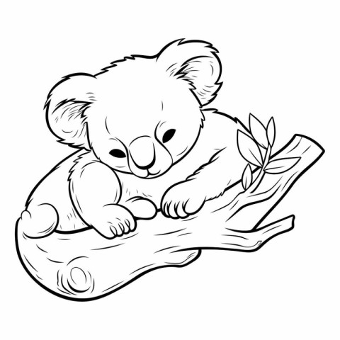 Cute koala sleeping on a log. Vector illustration for coloring b