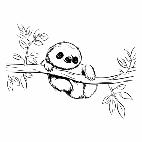 Cute cartoon sloth on a tree branch. Vector illustration.