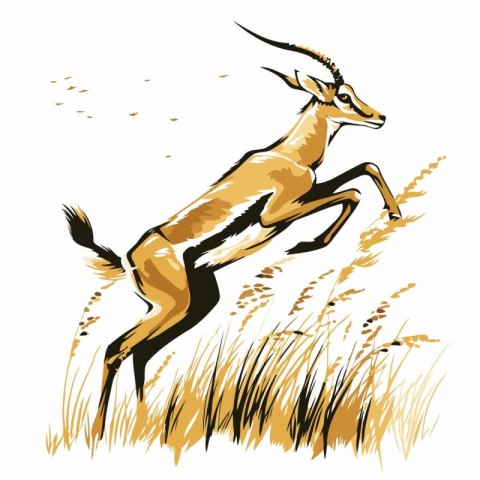 Gazelle jumping in the field of wheat. Vector illustration.