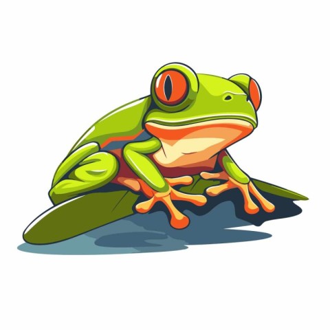 Frog on a leaf isolated on white background. Vector illustration