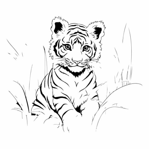 Black and white vector illustration of a tiger sitting in the gr