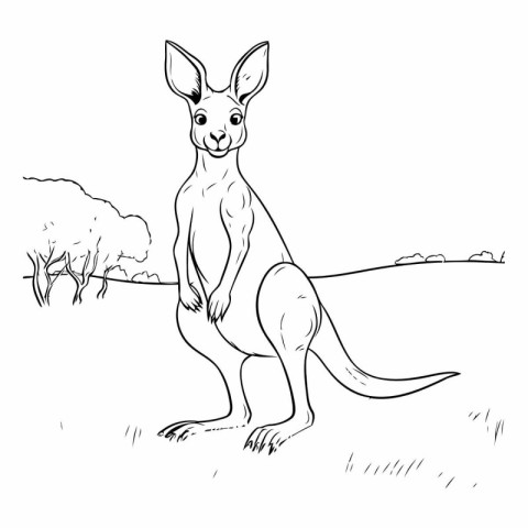 Kangaroo sketch. Hand drawn kangaroo vector illustration.