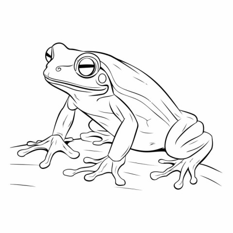 Frog. Coloring book for children and adults. Vector illustration