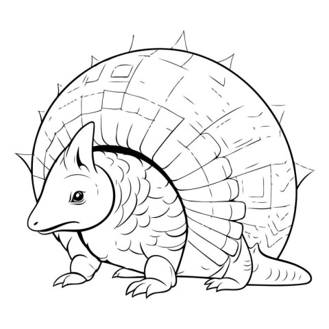 Coloring book of a little armadillo on a white background