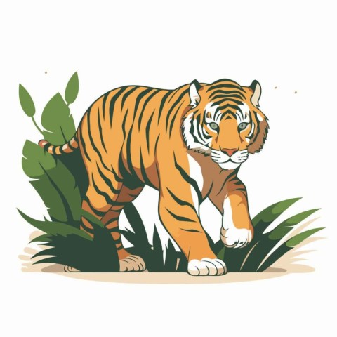 Vector illustration of a tiger in the jungle. Isolated on white