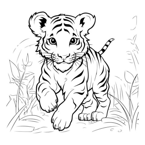 Tiger in the grass. Vector illustration. Coloring book for child