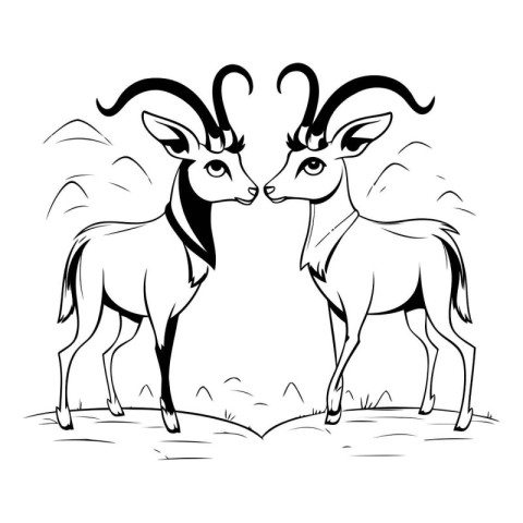 Black and white vector illustration of a pair of antelope on the