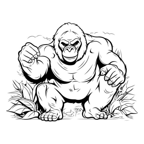 Gorilla - Vector Illustration. Isolated on White Background