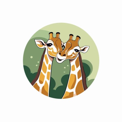 Giraffe head vector illustration. Giraffe head vector illustrati