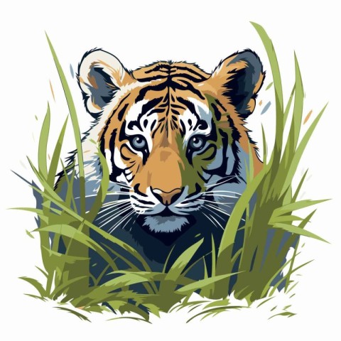 Tiger in the grass. Vector illustration on a white background.