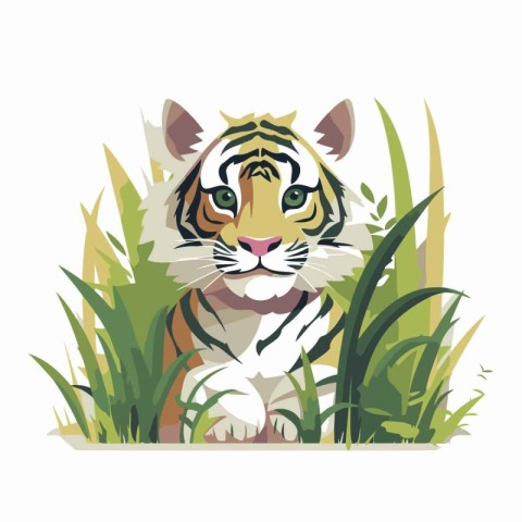 Tiger in the grass. Vector illustration. isolated on white backg