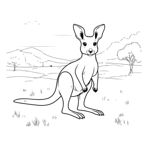 Kangaroo sketch for coloring book on white background. Vector il