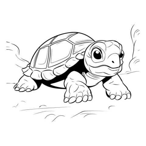 Turtle on the road. Coloring book for children. Vector illustrat