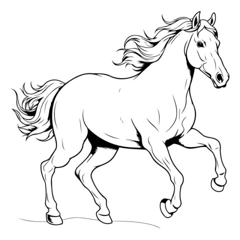 Vector image of a horse in black and white colors on a white bac