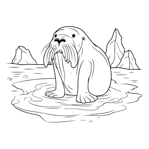 Vector illustration of a walrus in the water. isolated on white