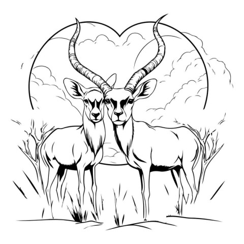 Black and white illustration of antelope in the savannah with he