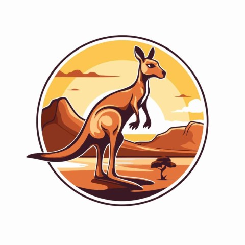 Kangaroo in the desert on the sunset. Vector illustration.