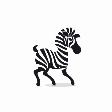 Zebra vector illustration on white background. Black and white a