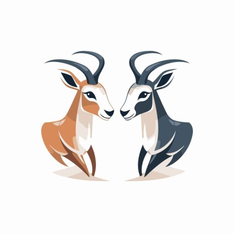 Two gazelle isolated on white background. Vector illustration in