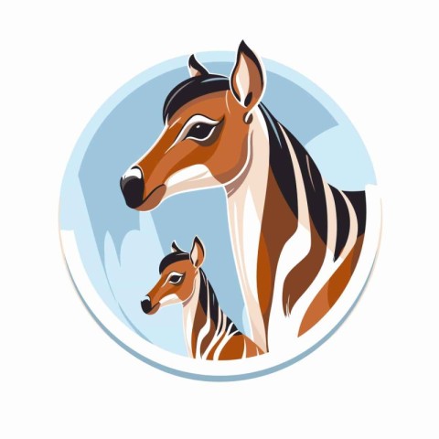 Illustration of a zebra and a foal. Vector illustration