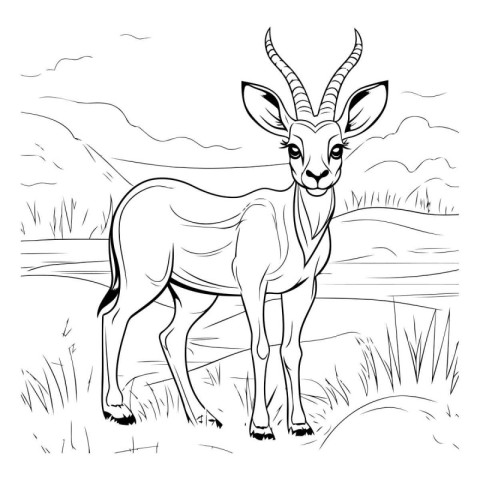 Antelope in the field. Black and white vector illustration for c