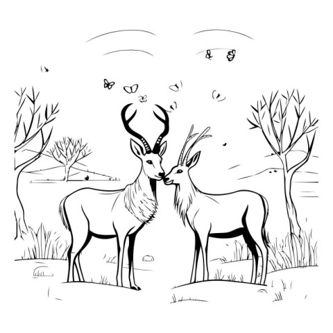 Black and white vector illustration of two deer in the meadow.