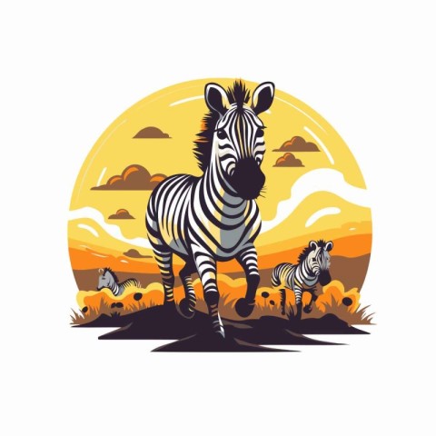 Zebra and zebras in the savannah. Vector illustration