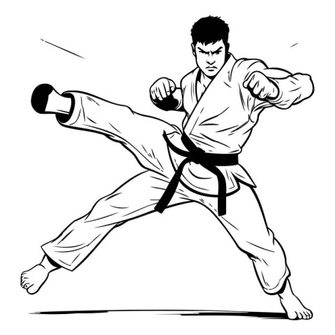 Taekwondoial arts. karate. Black and white vector illustration.