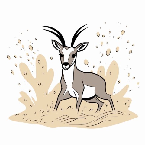 Antelope on the background of sand and splashes. Vector illustra