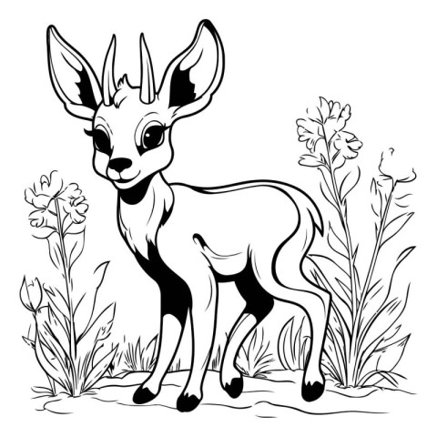 Deer in the wild. black and white vector illustration for colori