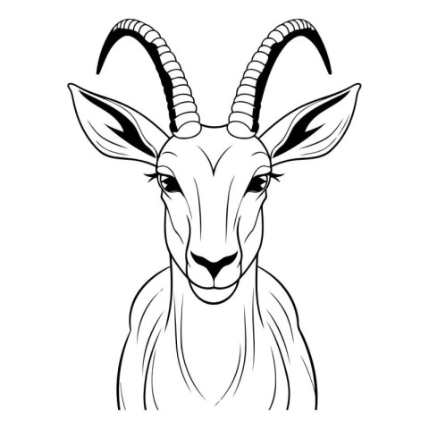 Vector image of a goat head on a white background. Black and whi