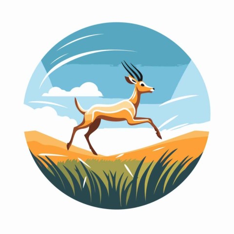 Antelope in the grass. Vector illustration of antelope in nature