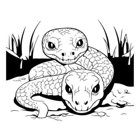 snake in the grass. vector illustration in black and white color