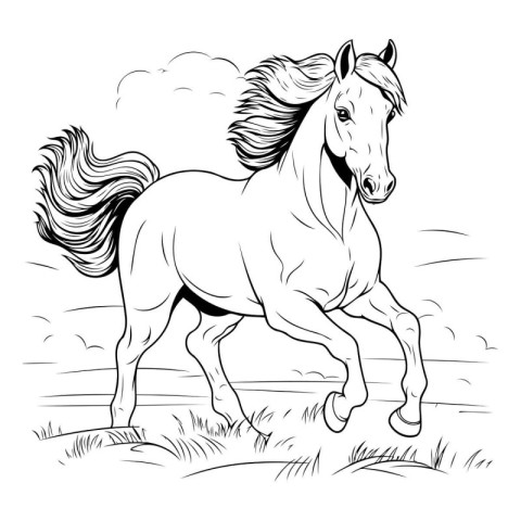 Horse black and white vector illustration. Isolated on white bac