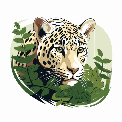 Jaguar in the jungle. Vector illustration of wild animal.