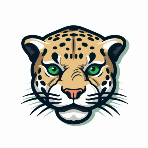 Jaguar head vector illustration isolated on white background. Wi