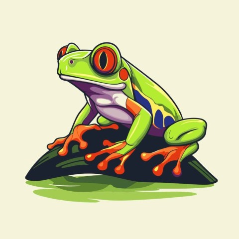 Frog cartoon vector illustration. Isolated on a white background