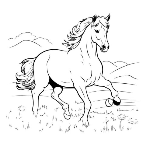 Horse running on a meadow. Black and white vector illustration.