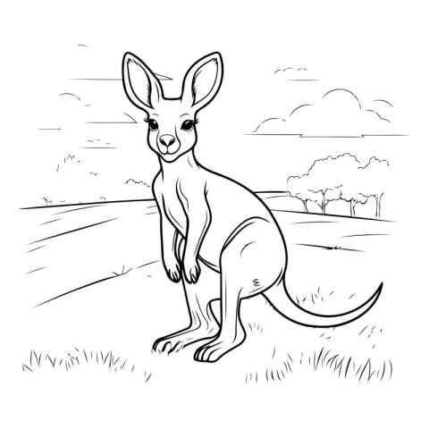 Kangaroo vector illustration. Hand drawn kangaroo in the field.