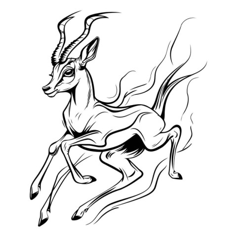 Black and white image of a running antelope. Vector illustration