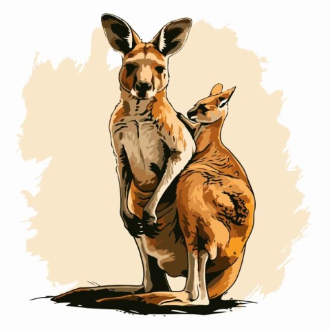 Kangaroo and joey. Vector illustration of an animal.