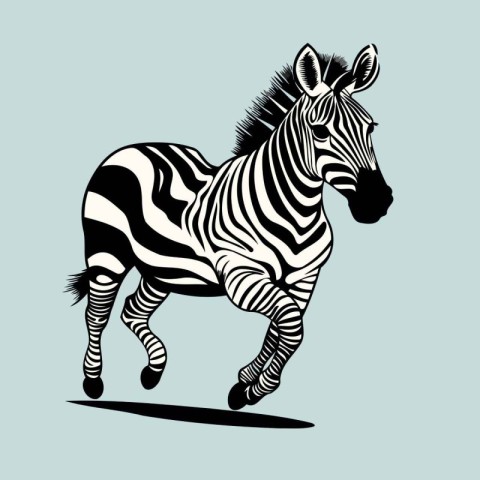 Zebra in black and white isolated on blue background. Vector ill