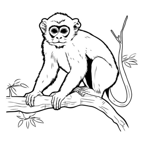 Monkey sitting on a tree branch. Vector illustration in black an