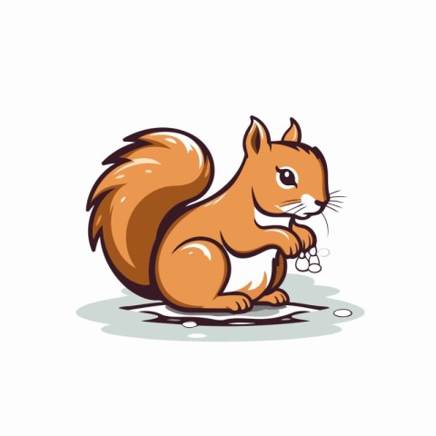 Squirrel vector illustration on white background. Vector illustr