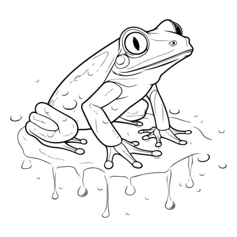 illustration of a frog sitting on a piece of ice. sketch for you