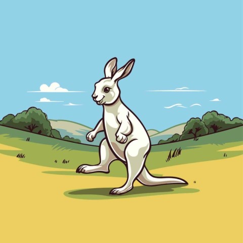 Kangaroo in the field. Vector illustration in cartoon style.