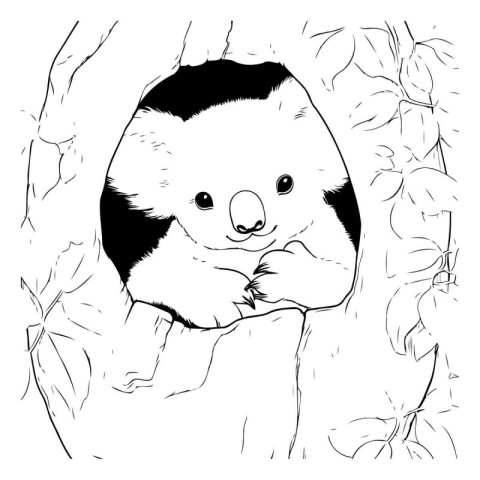 Koala in the hollow of a tree. sketch for your design