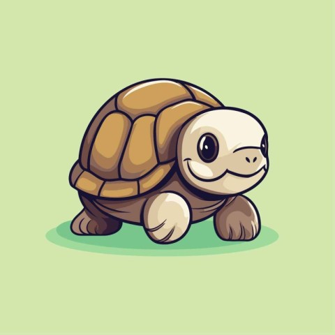 Illustration of a Cute Tortoise on a green background.