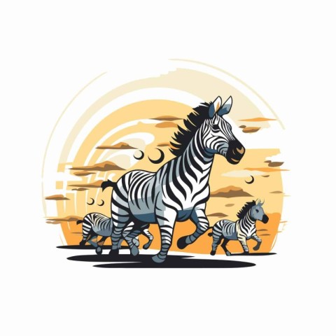 Zebra family in the desert. Vector illustration on white backgro