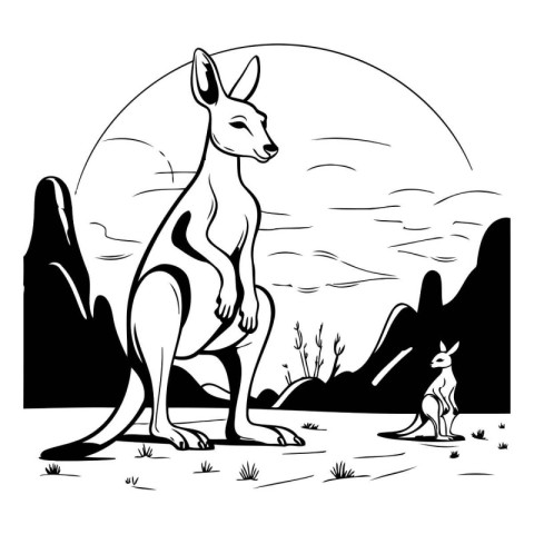 Kangaroo in the wild. black and white vector illustration.